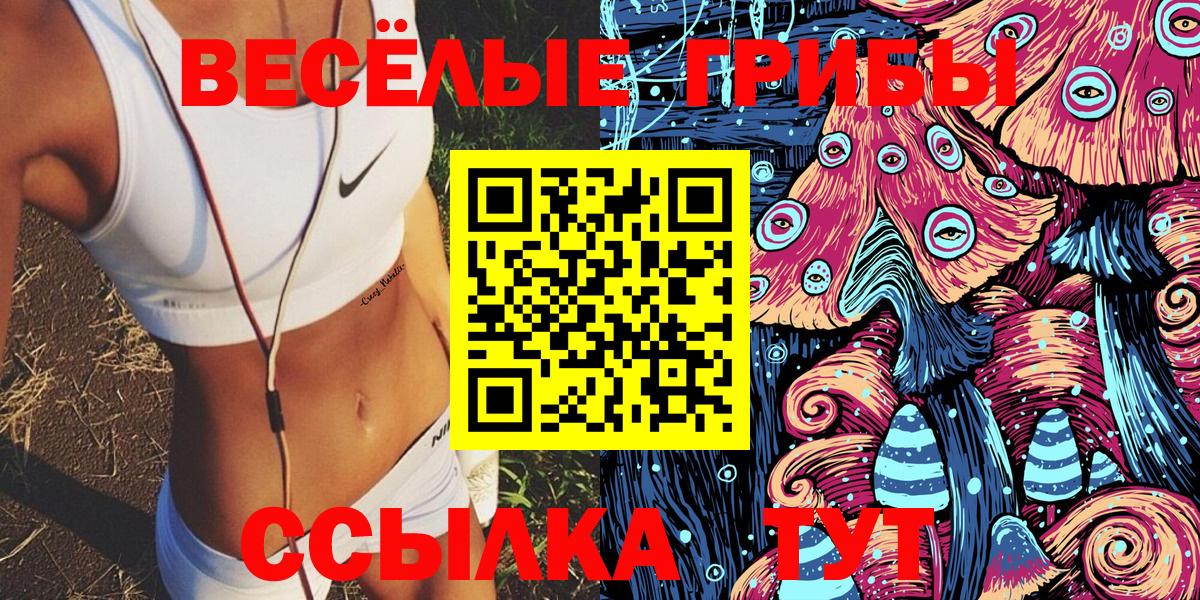 Псилоцибиновые грибы GOLDEN TEACHER  Псилоцибиновые грибы Psilocybe  Вход с VPN  Грязи 